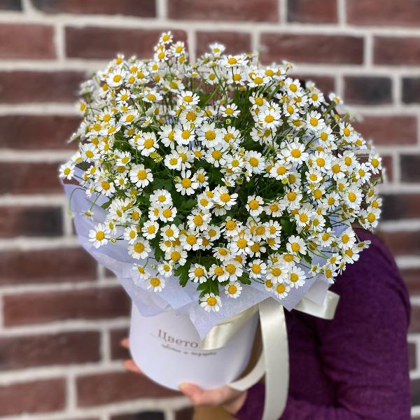 Композиция из матрикарии " For Loves one" Композиция из матрикарии " For Loves one"
