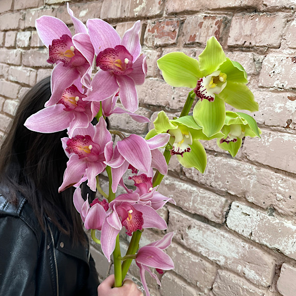 Орхидеи микс