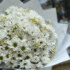Сборный букет "Облако нежности"